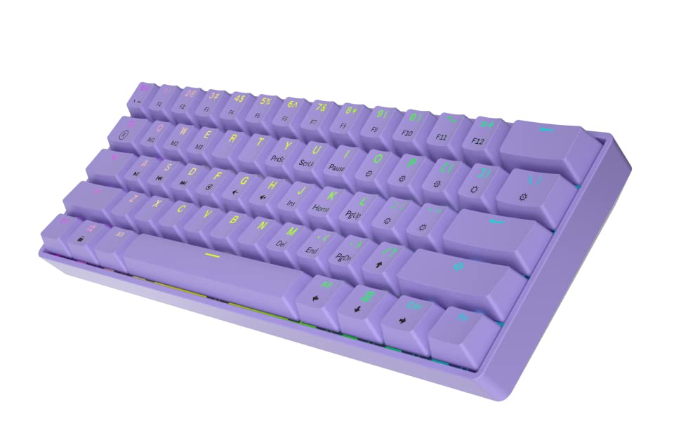 gk61 purple