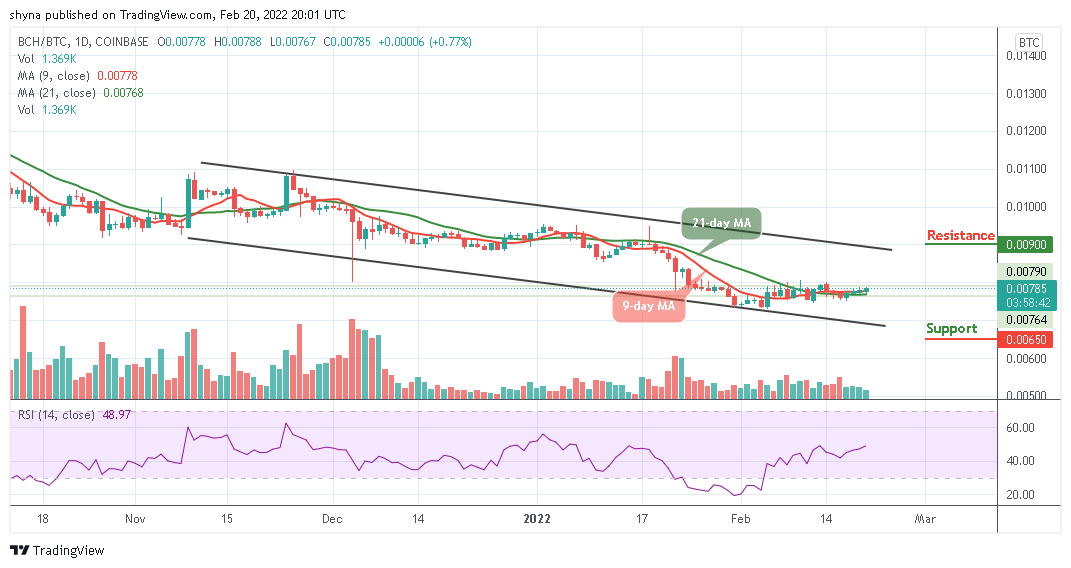 BCH/USD Drops to $300 Support | کریپتالین |